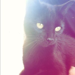 Meet your Posher, Caroline