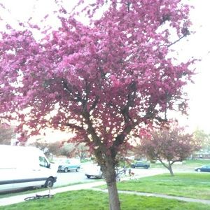 Meet your Posher, Luz