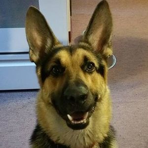 Meet your Posher, Lynda