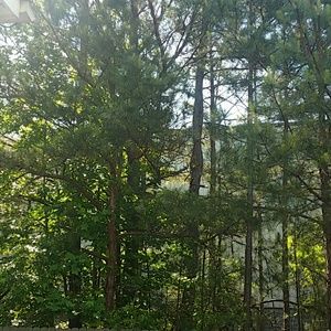 Meet your Posher, Dani