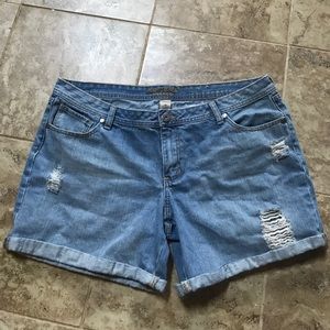 ‼️FLASH SALE‼️ Plus Size Jean Shorts