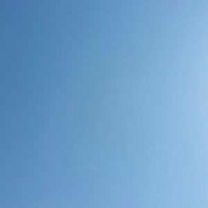 Meet your Posher, Cody