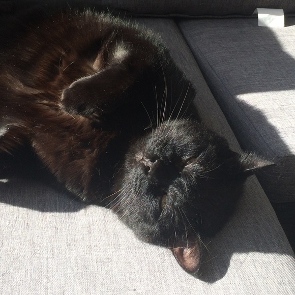 Meet your Posher, Jill - Picture 2 of 3