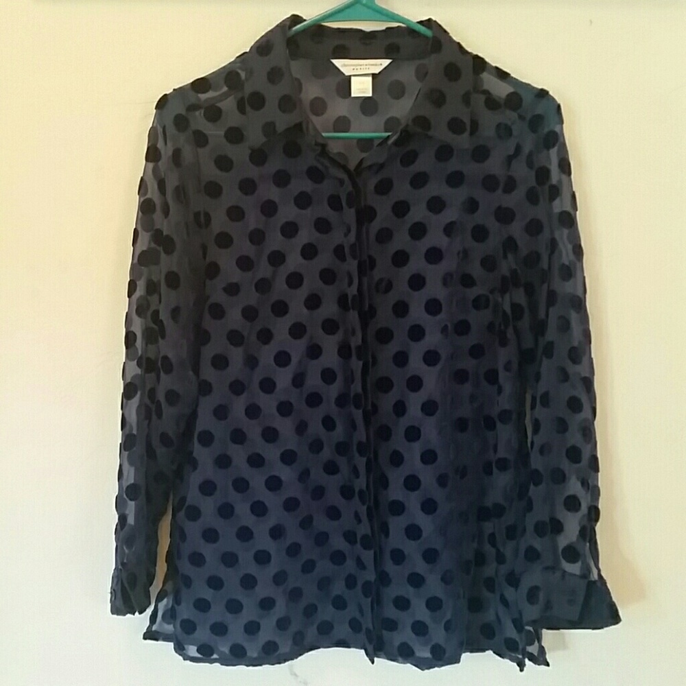 Blue see-through Christopher & Banks button up