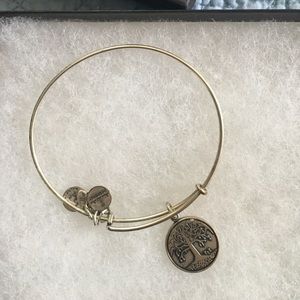 Alex and Ani tree of life Bracelet