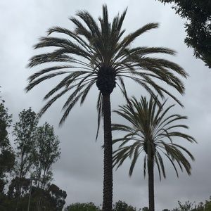 Meet your Posher, Den