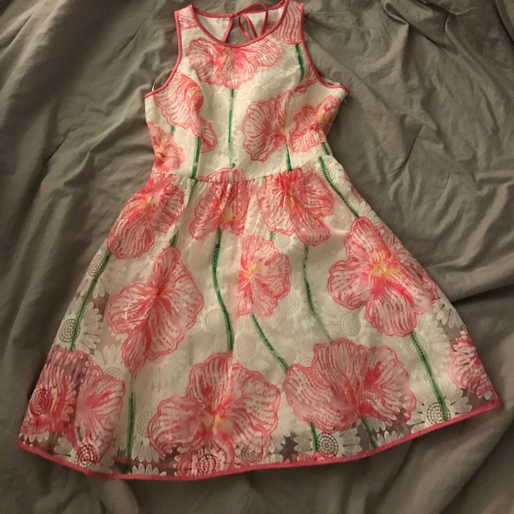 ❤️Never worn NWOT Lilly dress.