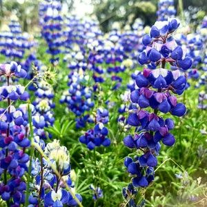 Meet your Posher, Eunjee