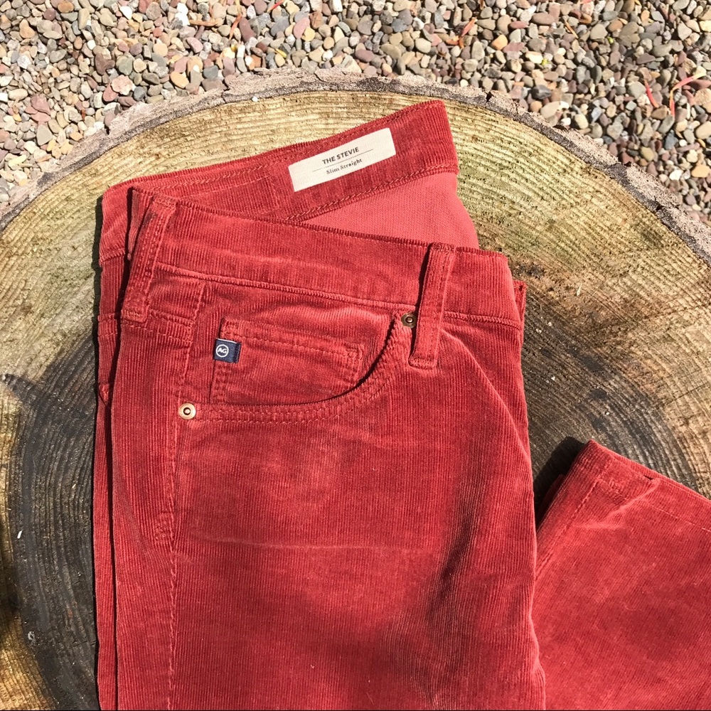 🚫NOT FOR SALE 🚫AG - THE STEVIE - Slim Straight