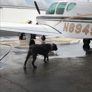 Meet your Posher, Tori