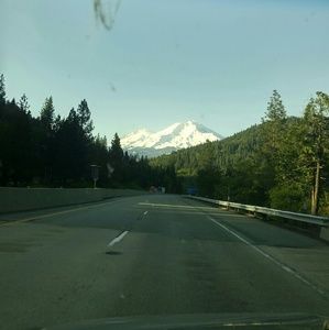 Meet your Posher, Connie