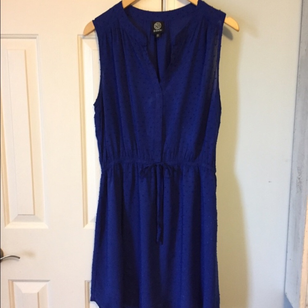 Cobalt Blue Dress