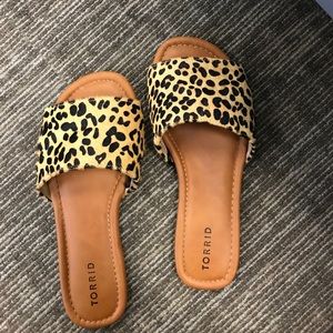 Leopard Slides