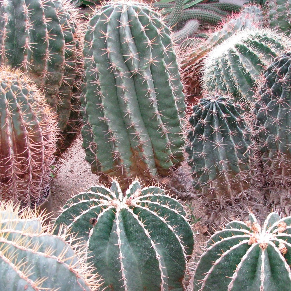 Meet your Posher, Sheila