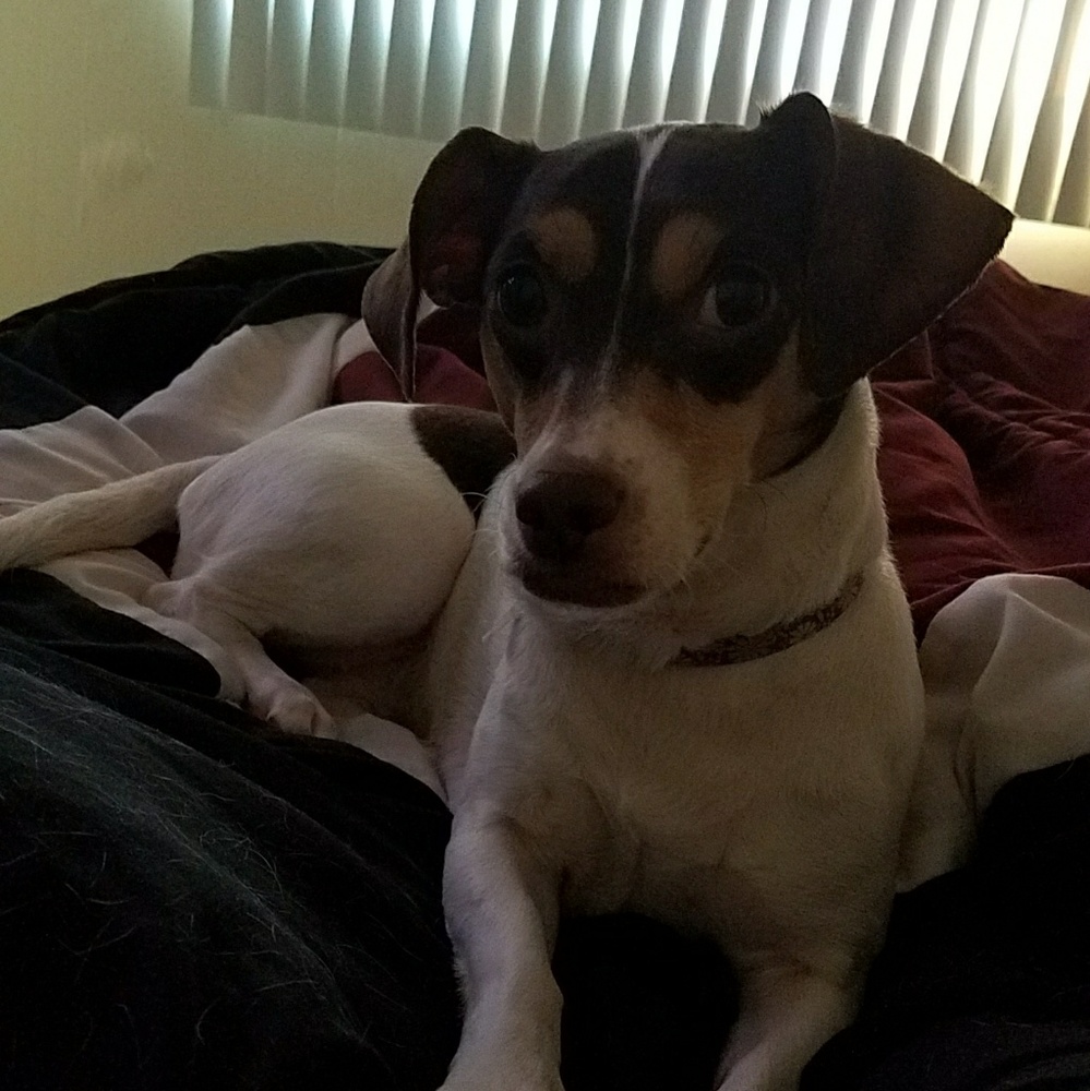 Meet your Posher, Monique