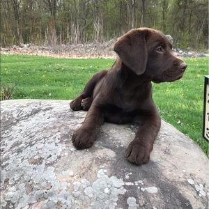 Meet your Posher, Christine