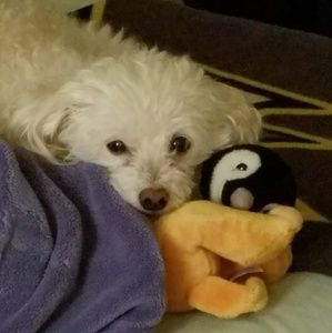 Meet your Posher, Lita