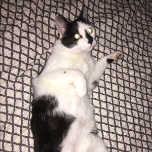 Meet your Posher, Jack