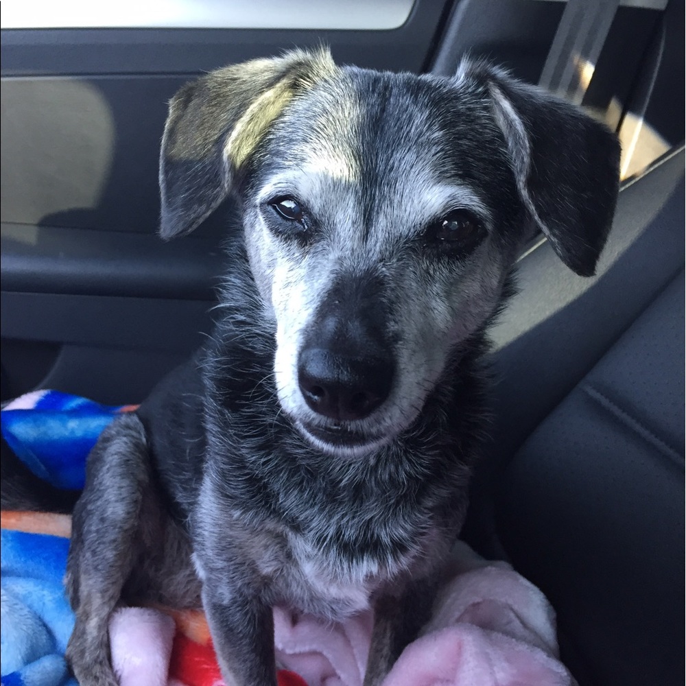 Meet your Posher, Ilene