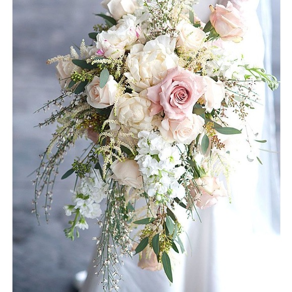 Meet your Posher, Theresa - Picture 1 of 1