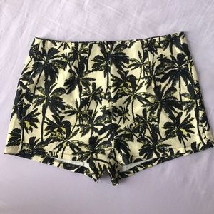 Brand new shorts with very cool palm print