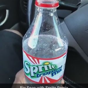 Meet your Posher, Leo