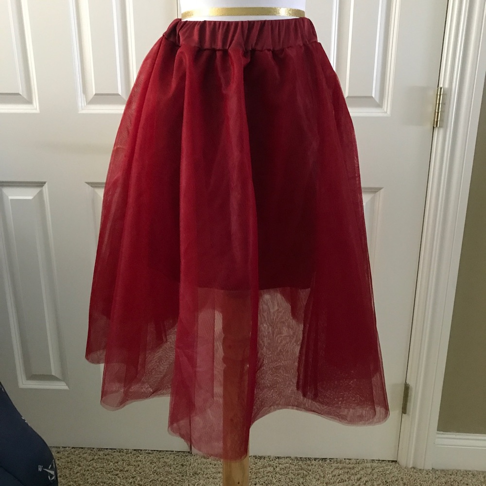 Tulle Skirt with Mini Lining