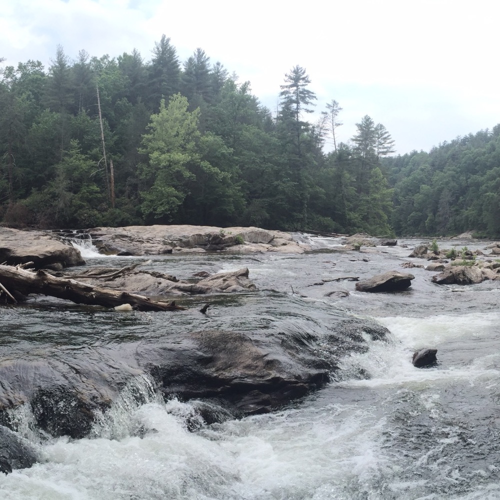 Meet your Posher, Suzanne