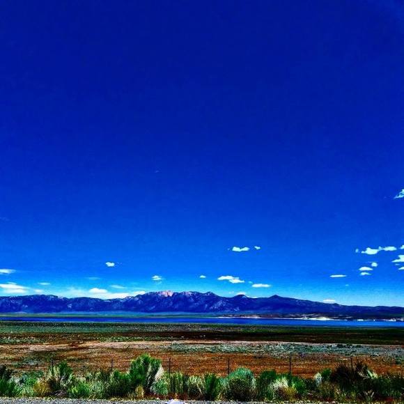 Meet your Posher, Ray - Picture 1 of 1