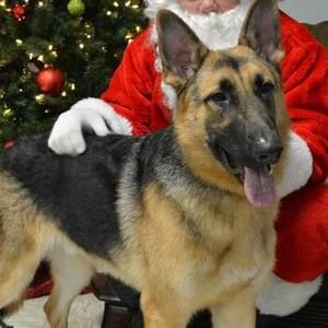 Meet your Posher, Deann