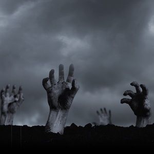 Meet your Posher, Keith