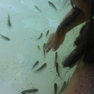 Meet your Posher, Sonya