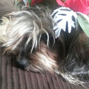 Meet your Posher, Dria