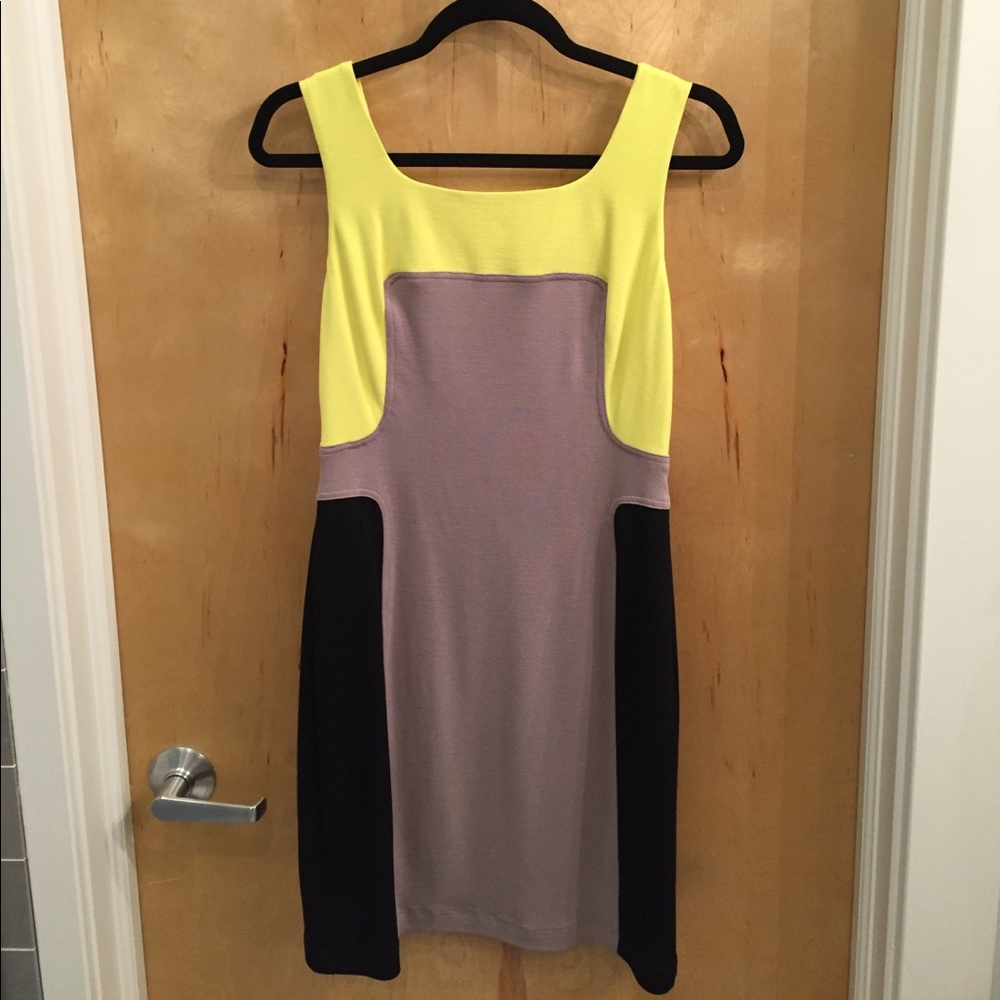Yoana Baraschi fitted stretchy neon dress