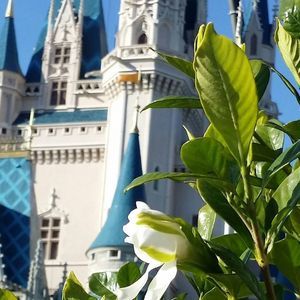 Meet your Posher, Evelyn