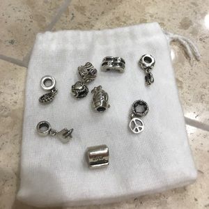 Pandora Charms