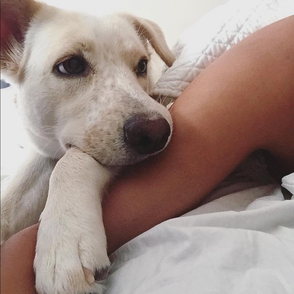 Meet your Posher, Jaymee - Picture 3 of 6