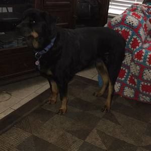 Meet your Posher, Pam