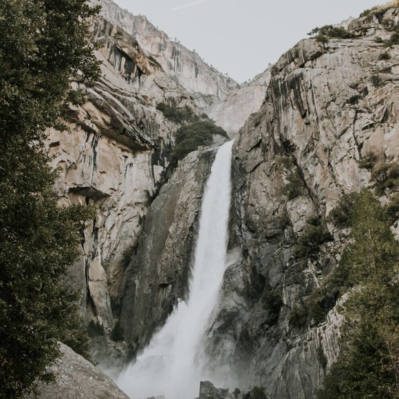 Meet your Posher, Ceci - Picture 2 of 2