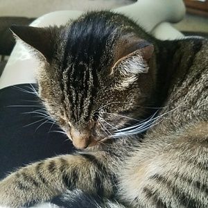 Meet your Posher, Jayne