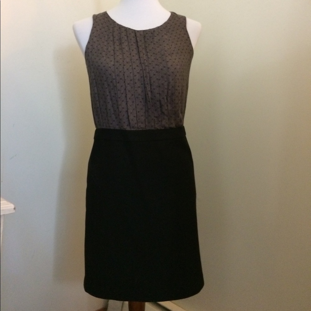 Ann Taylor LOFT Dress
