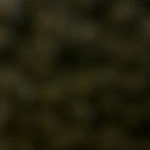 Meet your Posher, Angellee