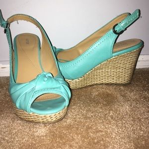 Teal Wedges