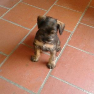 Meet your Posher, Nored