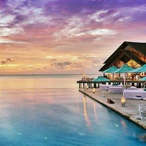 Meet your Posher, Darian