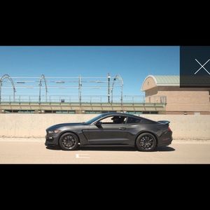 Meet your Posher, Austen