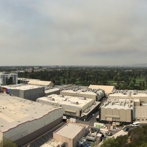 Meet your Posher, Bernie