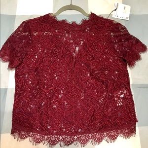 ZARA Lace Bordeaux blouse!