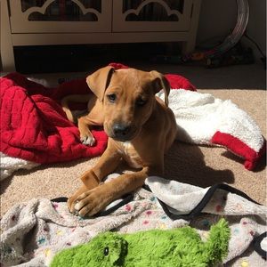 Meet your Posher, Tyler