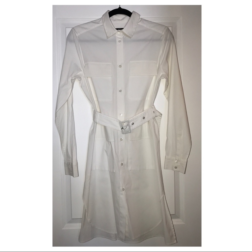 Alexander McQueen Dress